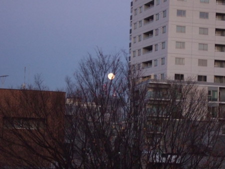 f:id:gonbey:20120110064513j:image
