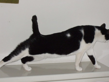 f:id:gonbey:20120113084424j:image