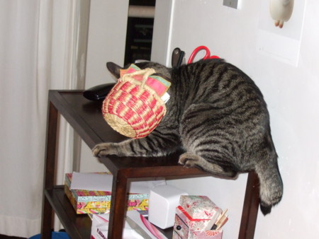 f:id:gonbey:20120115182754j:image