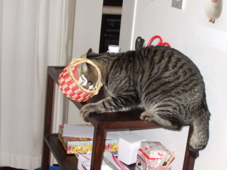 f:id:gonbey:20120115182758j:image