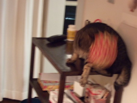 f:id:gonbey:20120115182801j:image