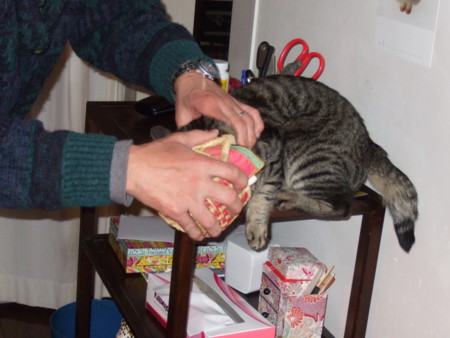 f:id:gonbey:20120115182812j:image