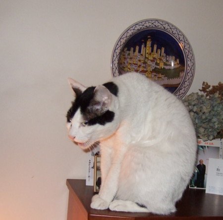 f:id:gonbey:20120118210241j:image f:id:gonbey:20120118210241j:image