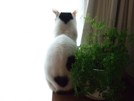 f:id:gonbey:20120121124624j:image