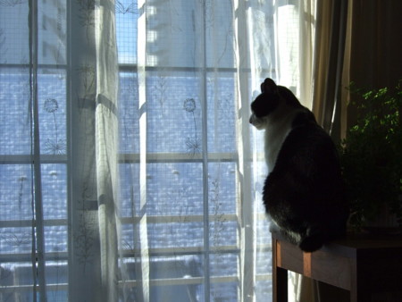 f:id:gonbey:20120124091202j:image
