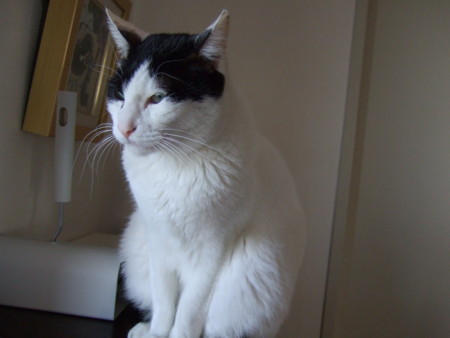 f:id:gonbey:20120221090335j:image