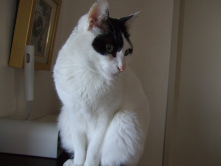 f:id:gonbey:20120221090343j:image