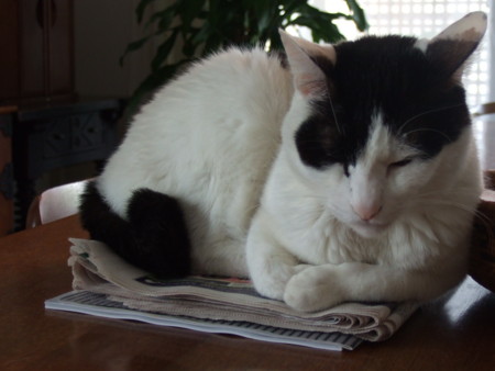 f:id:gonbey:20120425092703j:image