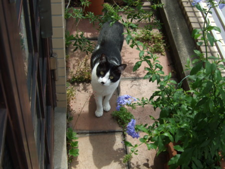 f:id:gonbey:20120628094709j:image