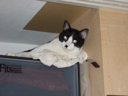 f:id:gonbey:20120706084651j:image