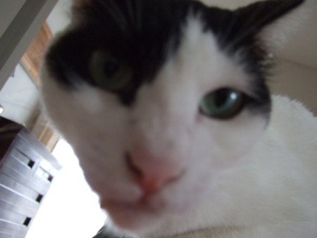 f:id:gonbey:20120720101005j:image f:id:gonbey:20120720101005j:image