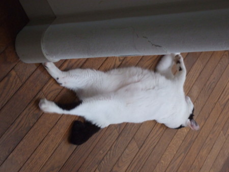 f:id:gonbey:20120727073639j:image