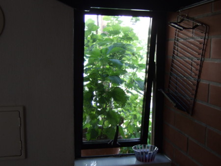 f:id:gonbey:20120731080435j:image