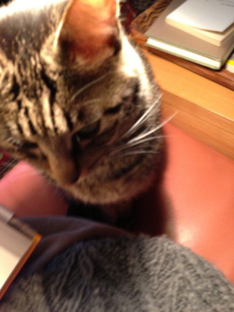 f:id:gonbey:20121208162611j:image