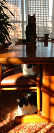 f:id:gonbey:20121209092217j:image f:id:gonbey:20121209092217j:image