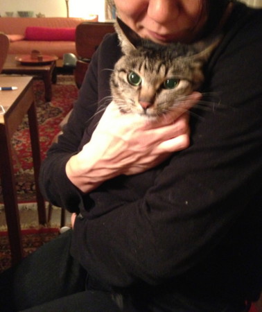 f:id:gonbey:20121211225408j:image
