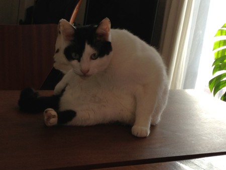 f:id:gonbey:20130108095255j:image
