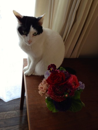 f:id:gonbey:20140331072040j:image
