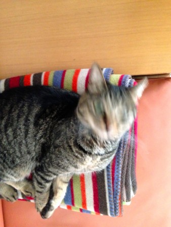 f:id:gonbey:20140403095132j:image