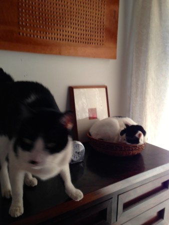 f:id:gonbey:20140921161748j:image