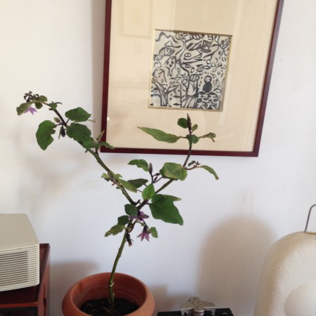 f:id:gonbey:20141029085747j:image