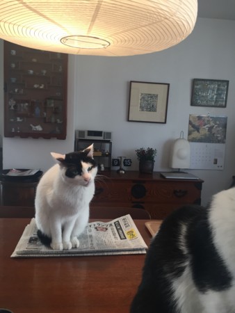 f:id:gonbey:20170118091519j:image