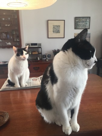 f:id:gonbey:20170118091529j:image