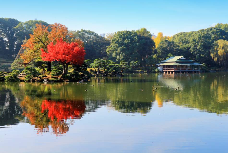 f:id:gondoyuki:20191108173244j:plain f:id:gondoyuki:20191108173244j:plain