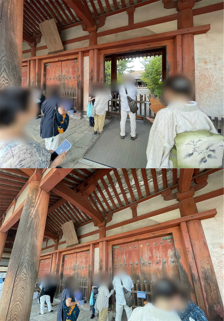 f:id:gone_with_the_bugs:20240918031446p:image