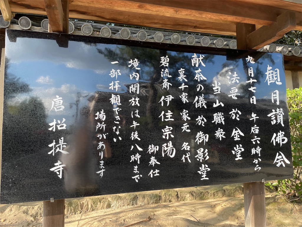 f:id:gone_with_the_bugs:20240918040212j:image