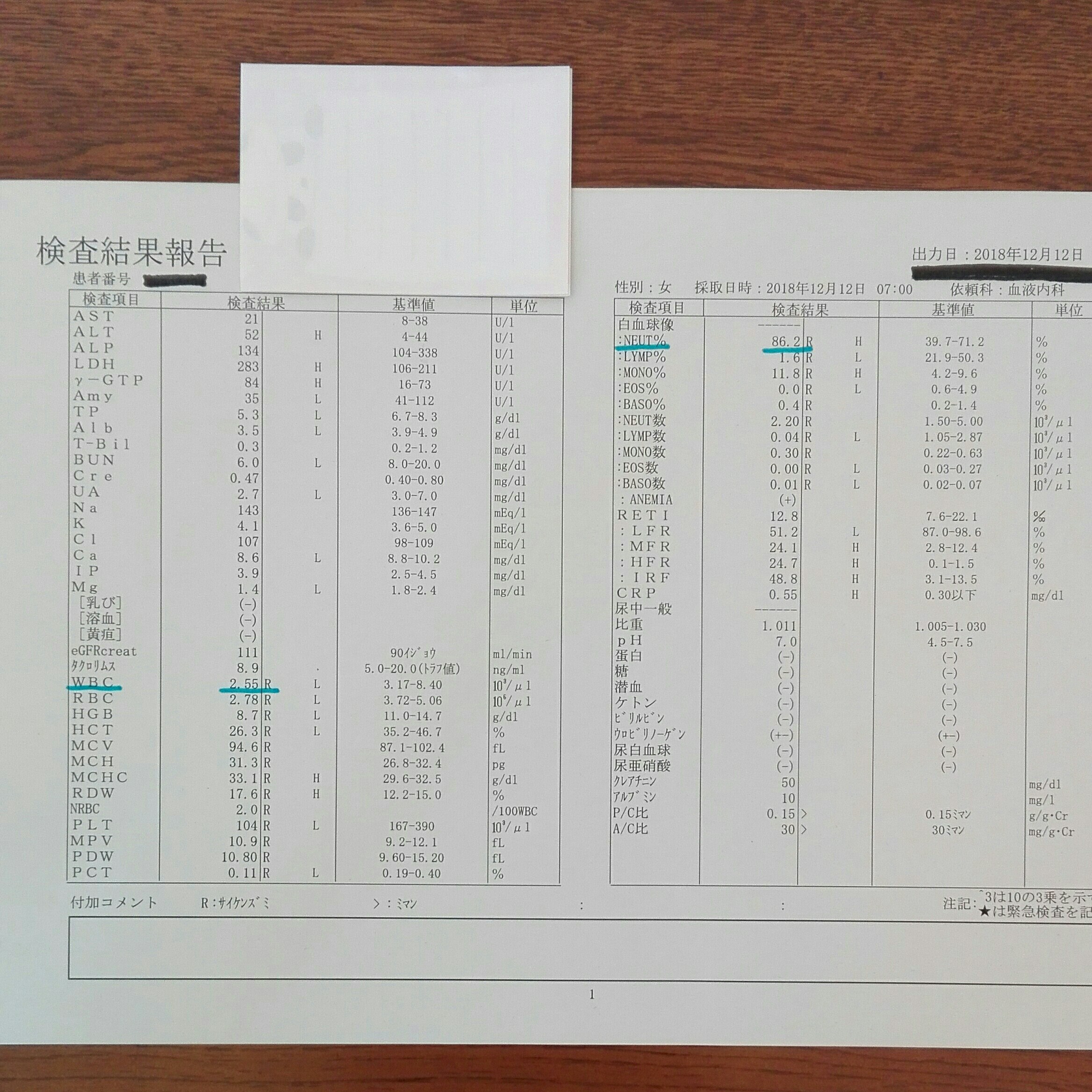 f:id:gonengomogenki:20191110103109j:image