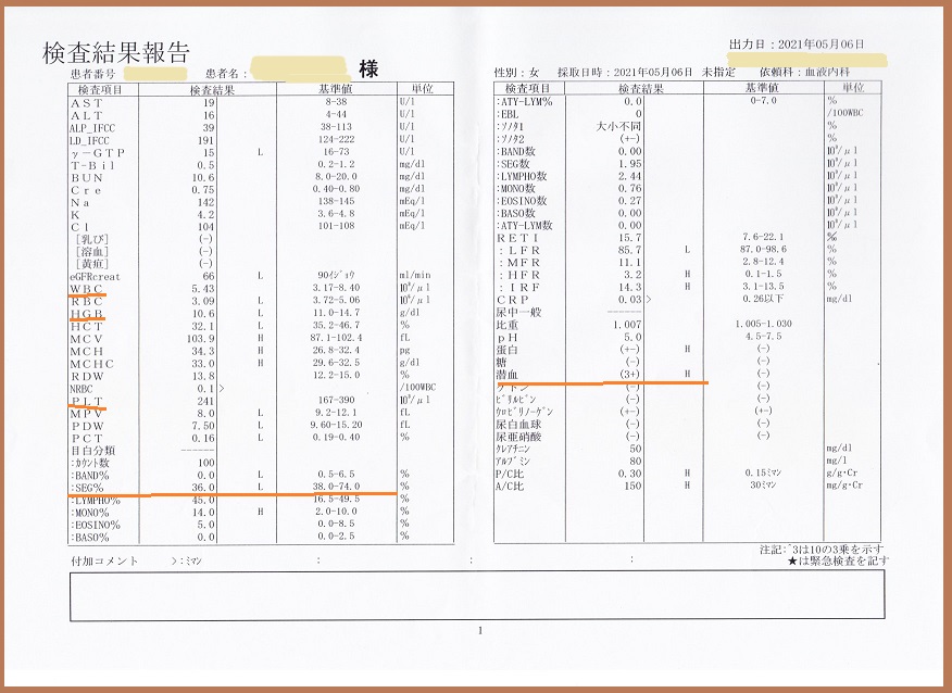 f:id:gonengomogenki:20210506174617j:plain
