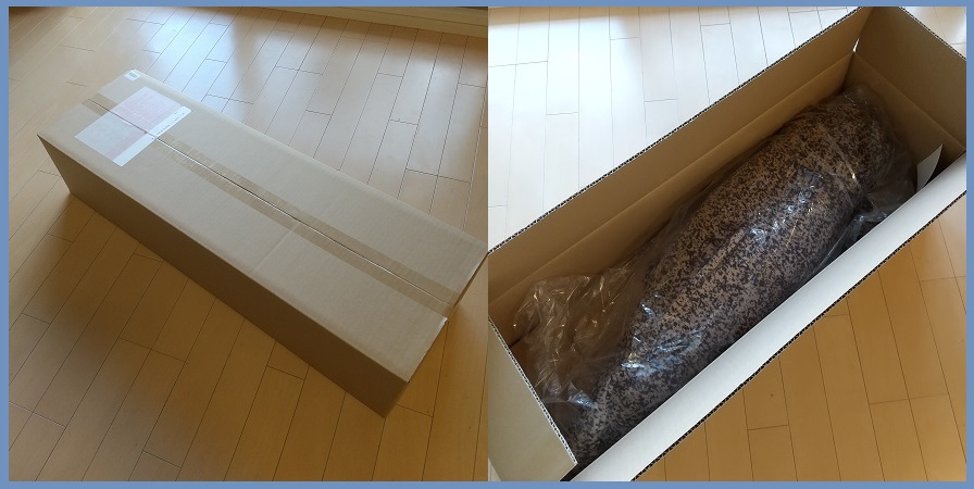 f:id:gonengomogenki:20210730104649j:plain