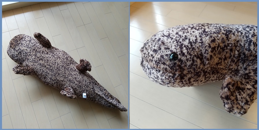 f:id:gonengomogenki:20210730105104j:plain