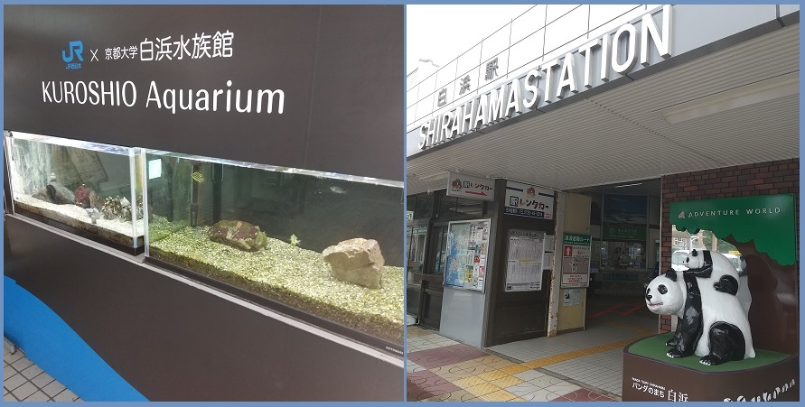 f:id:gonengomogenki:20210822172113j:plain