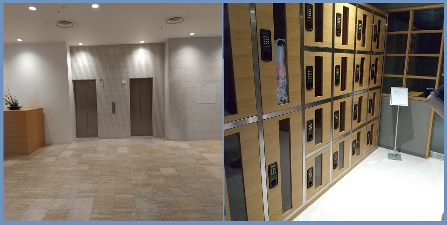 f:id:gonengomogenki:20210825122926j:plain