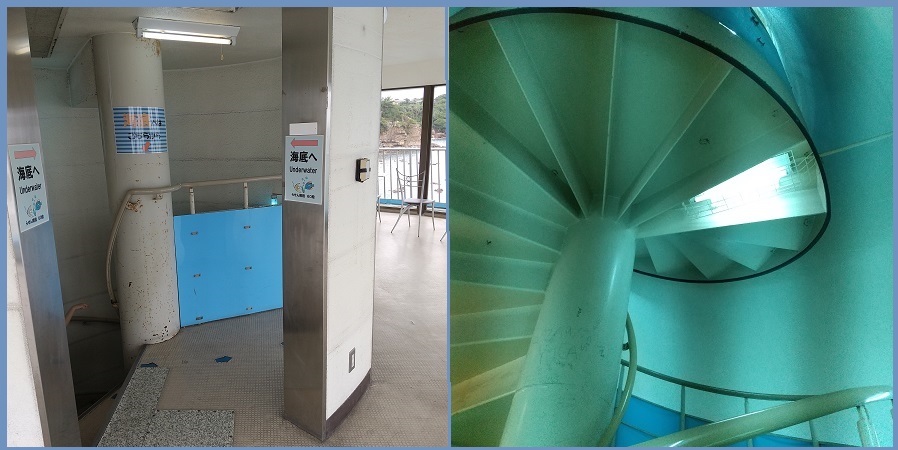 f:id:gonengomogenki:20210825124330j:plain