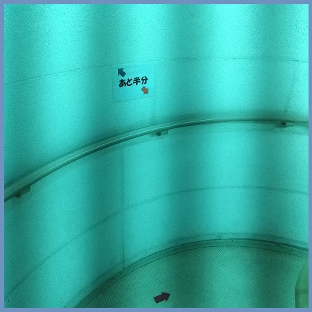 f:id:gonengomogenki:20210825124612j:plain