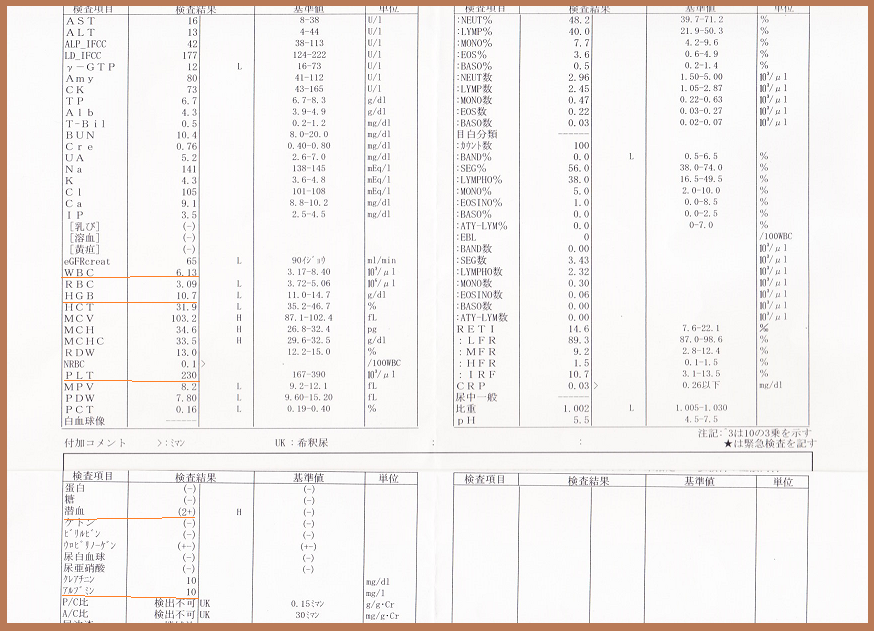 f:id:gonengomogenki:20210910165112p:plain