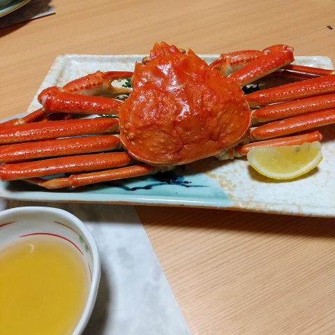 f:id:gonengomogenki:20220311165048j:plain