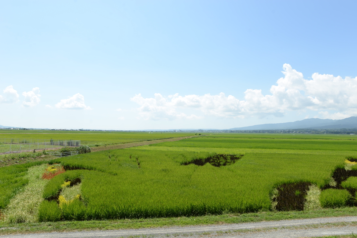 田園風景 - 毎日を明日なきものとして生きる