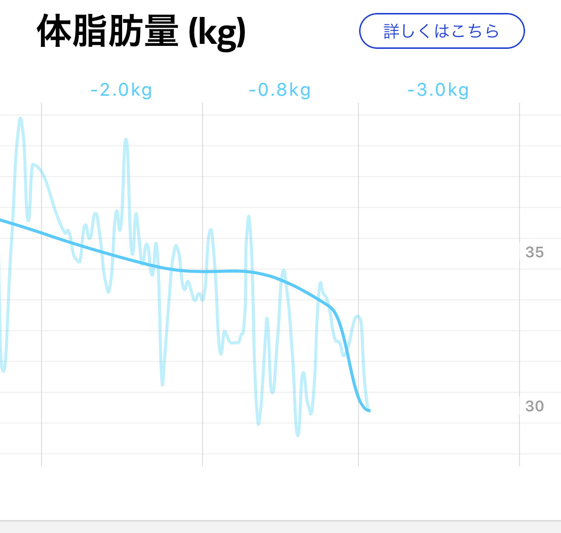 f:id:gongoZ:20190703084313j:plain:w400