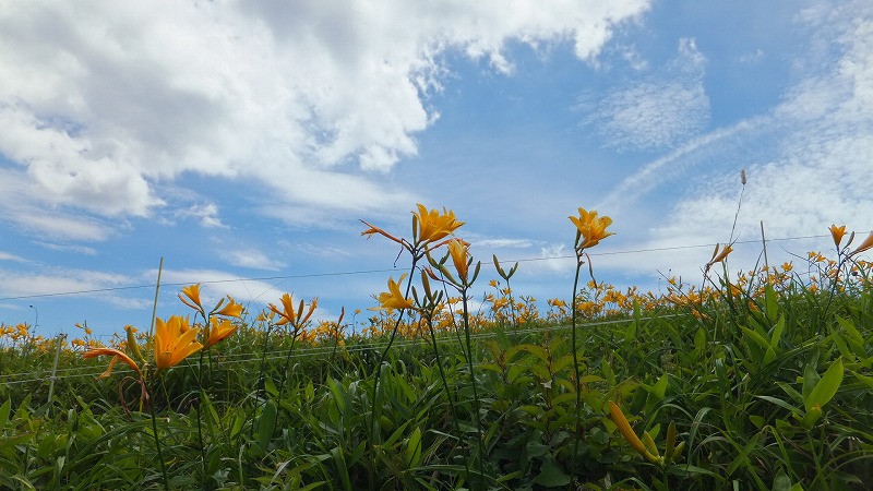 f:id:goniyoyo:20130721174724j:image f:id:goniyoyo:20130721174724j:image