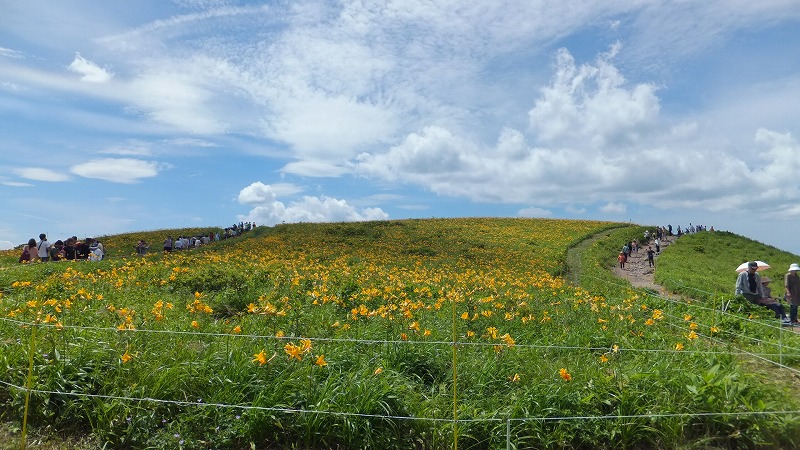 f:id:goniyoyo:20130721174726j:image f:id:goniyoyo:20130721174726j:image