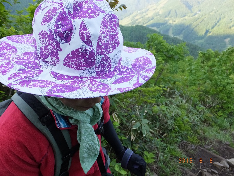 f:id:goniyoyo:20150609024148j:image f:id:goniyoyo:20150609024148j:image
