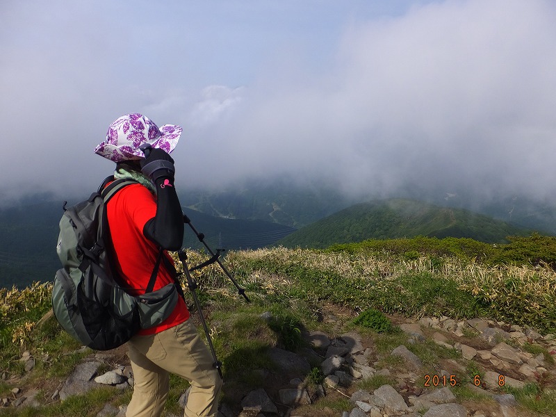 f:id:goniyoyo:20150609033040j:image f:id:goniyoyo:20150609033040j:image