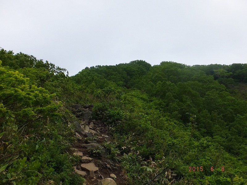 f:id:goniyoyo:20150609033044j:image f:id:goniyoyo:20150609033044j:image