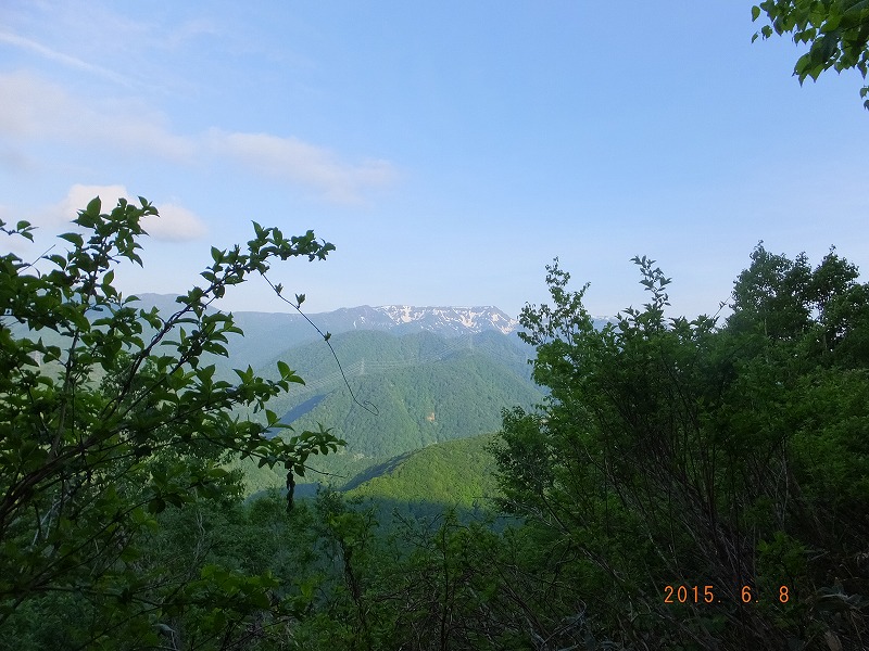 f:id:goniyoyo:20150609033048j:image f:id:goniyoyo:20150609033048j:image