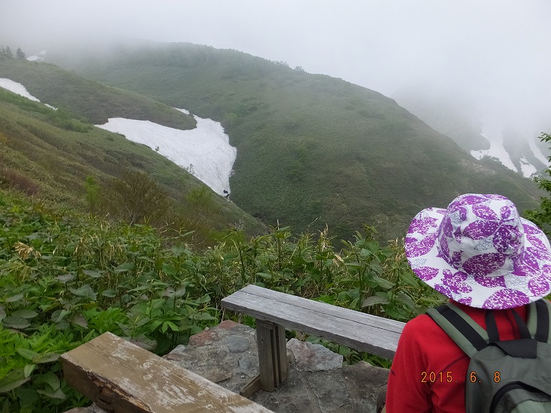 f:id:goniyoyo:20150609033650j:image f:id:goniyoyo:20150609033650j:image