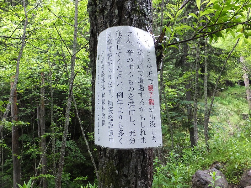 f:id:goniyoyo:20150710092829j:image f:id:goniyoyo:20150710092829j:image